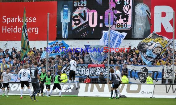 2. Bundesliga SV Sandhausen - TSV 1860 München Hardtwaldstadion Sandhausen 01.03.2014 (© Kraichgausport / Loerz)